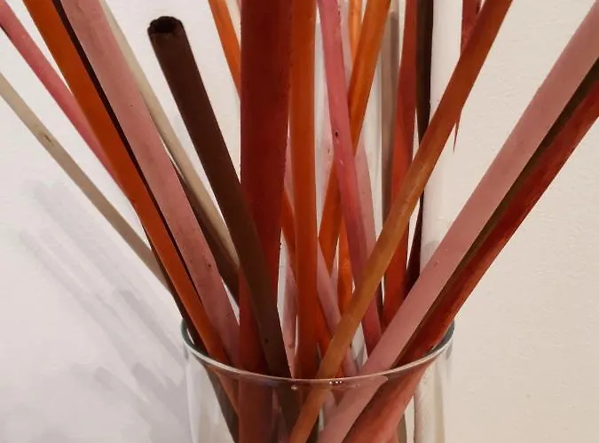 Soleluna Fiera 6 Guest house 3*