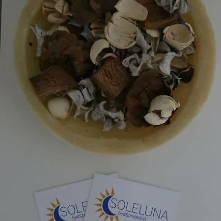 Soleluna Fiera 6 Pensionat
