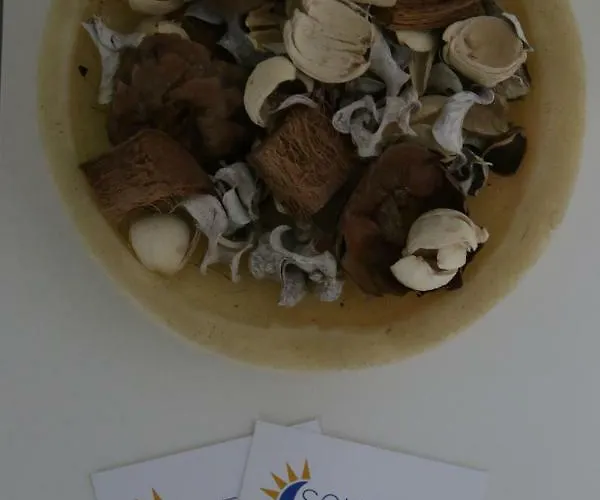 Soleluna Fiera 6 ゲストハウス